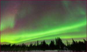 Marraskuun kuudentena on vuodesta 1908 saakka juhlittu ruotsalaisuuden päivää. Päivä juhlistaa suomenruotsalaisten oikeutta käyttää ruotsin kieltä Suomessa. Revontulikuvan tarjosi pixabay.com